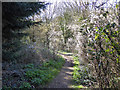 Path at end of Staines Lane