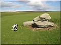 Maen Pebyll long barrow