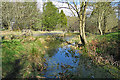 Pond on Stoney Hill