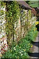 Cottage wall on a spring day