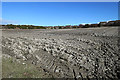 Ploughed Field