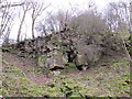 SE0997 : Disused Limestone Quarry in Scar Spring Wood by Matthew Hatton
