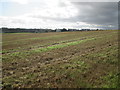 Kaimknowe  over  a  stubble  field