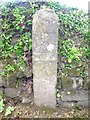 Old Milestone west of Pelean Cross