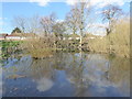 Reflections at Abbey Ponds