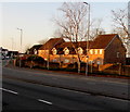 ST3090 : Early morning sunshine on Westfield Gardens houses, Malpas, Newport by Jaggery