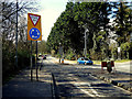 Mini roundabout along Killyclogher Road, Omagh