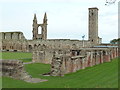 NO5116 : St Andrews Cathedral by Chris Allen