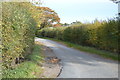 Narrow Kentish Lane