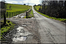 H5364 : Dirty along Killadroy Road by Kenneth  Allen