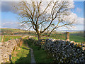 Footpath at Threshfield