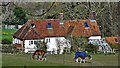 House on the south side of Annington Road