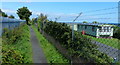 Fife Coastal Path at Kinghorn