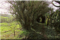 Bridleway below Pepperdon Hall Lane