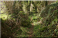 Bridleway below Pepperdon Hall Lane