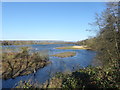 TQ5156 : The East Lake at Sevenoaks Wildlife Reserve by Marathon