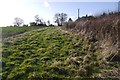 A field near Quatt