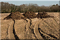 Three heaps of dung in a field