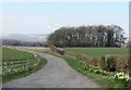 Farm road and footpath to Scrogg Farm