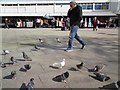 SJ9494 : More pigeons than people by Gerald England