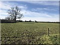 Farmland near Hare Holes Farm