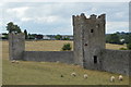 S4943 : Kells Priory - towers and wall by N Chadwick