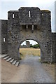 S4943 : Kells Priory - gate by N Chadwick