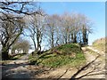 Farm access track on Northleigh Hill