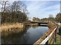 St Helens Canal at Sankey Bridges