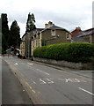 Long hedge, Church Street, Builth Wells