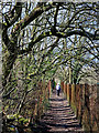 Footpath on Colton Hills near Wolverhampton