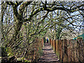 Footpath to Penn near Wolverhampton