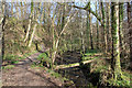 The Glen footpath