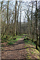 The Glen footpath