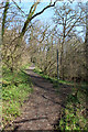 The Glen footpath