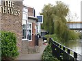 River Path behind Thames Lodge Hotel