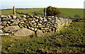 SX6963 : Dry stone wall, Dockwell by Derek Harper