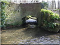 Unusual little bridge across the stream