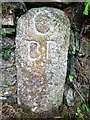 Old Boundary Marker