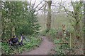 Public Footpath in Willow Park