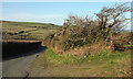 Gateway by lane to Gidley Bridge