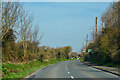 Berrow : Coast Road