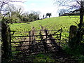 Gate to field, Cranny