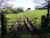H4772 : Gate to field, Cranny by Kenneth  Allen