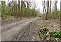 Faversham Angling Club entrance to Bysing Wood fishing lake