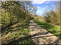 Path by Shenley Wood