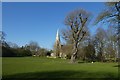SE6250 : Old oak tree and Church by DS Pugh