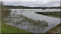 A corner of Cropston Reservoir