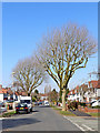 Himley Crescent in Goldthorn Park, Wolverhampton