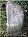 Old Boundary Marker